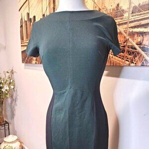 Cremieux Women's Green & Black Colorblock Dress - Size S